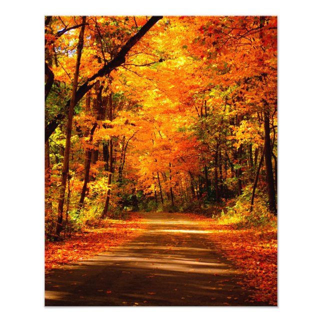 fall trail photo print (Front)