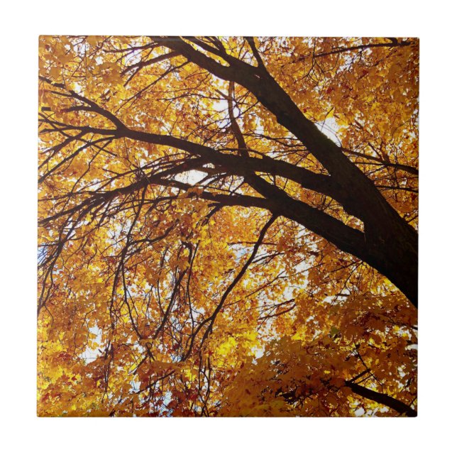 Fall Tree 2 Tile (Front)