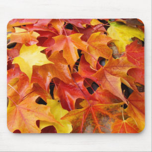 Fall Tree Leaves mousepad Orange Yellow Red