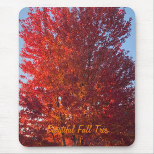 Fall Tree Picture   Mouse Pad