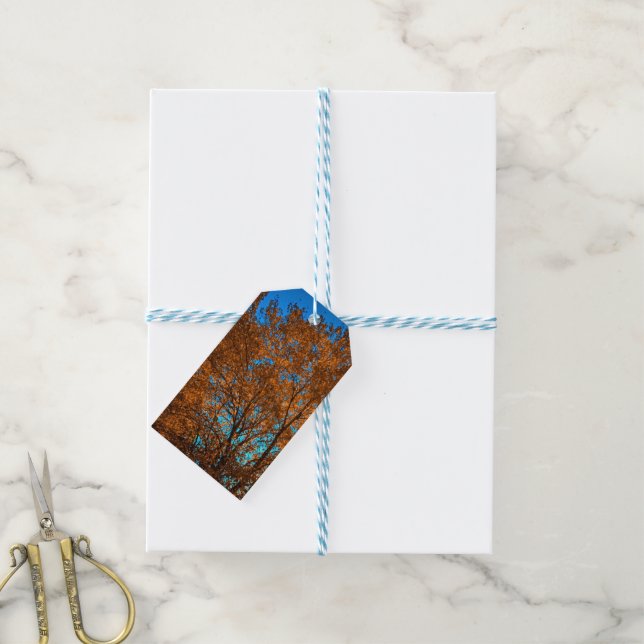 Fall Tree Shimmering In Gold Gift Tag (With Twine)