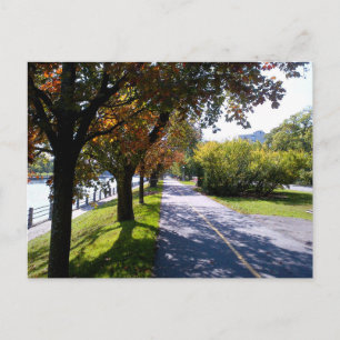 Fall trees along the Ottawa canal Postcard