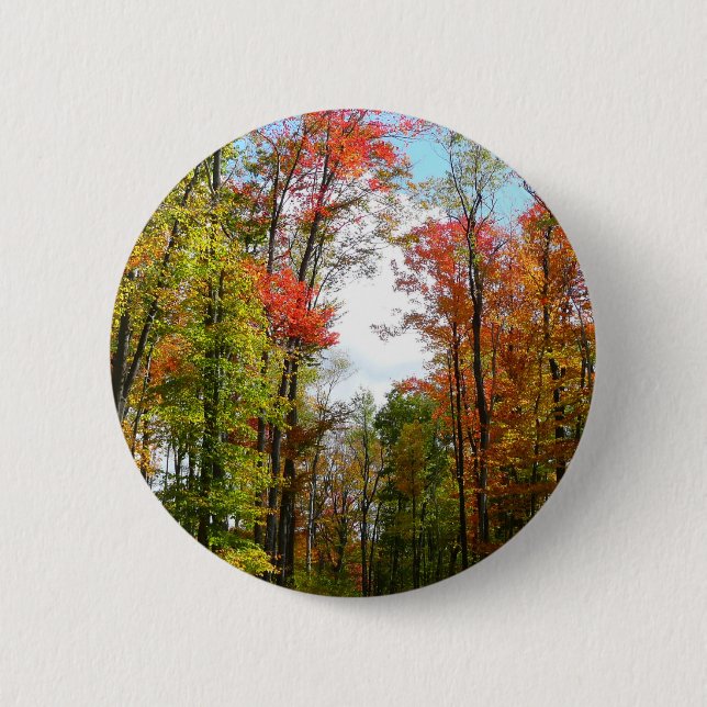 Fall Trees and Blue Sky Autumn Nature Photography 6 Cm Round Badge (Front)