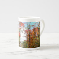 Fall Trees and Blue Sky Autumn Nature Photography