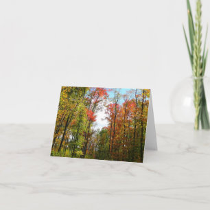 Fall Trees and Blue Sky Autumn Nature Photography Card