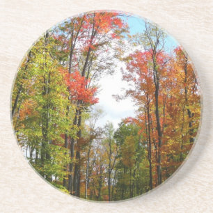 Fall Trees and Blue Sky Autumn Nature Photography Coaster