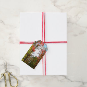 Fall Trees and Blue Sky Autumn Nature Photography Gift Tags