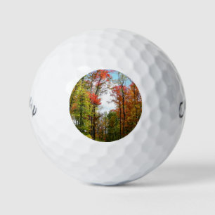Fall Trees and Blue Sky Autumn Nature Photography Golf Balls