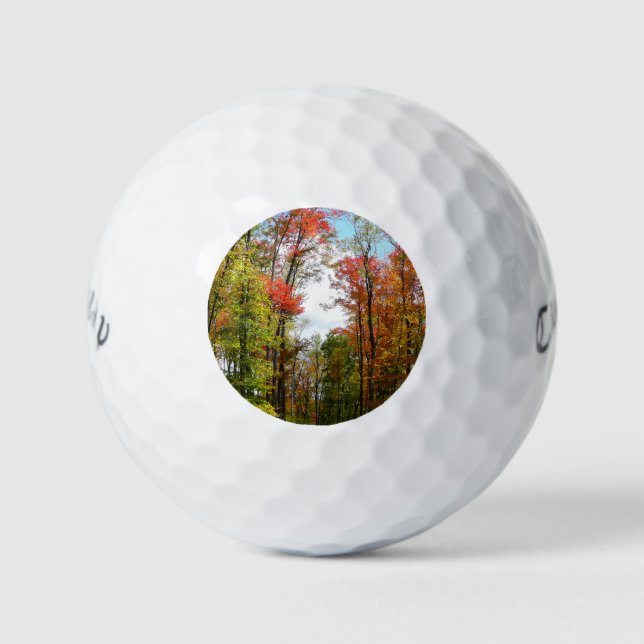 Fall Trees and Blue Sky Autumn Nature Photography Golf Balls (Front)
