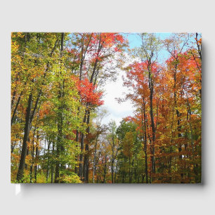 Fall Trees and Blue Sky Autumn Nature Photography Guest Book