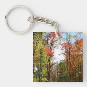 Fall Trees and Blue Sky Autumn Nature Photography Key Ring