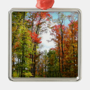 Fall Trees and Blue Sky Autumn Nature Photography Metal Tree Decoration