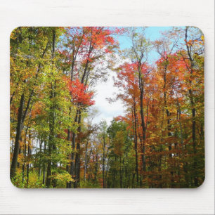 Fall Trees and Blue Sky Autumn Nature Photography Mouse Pad