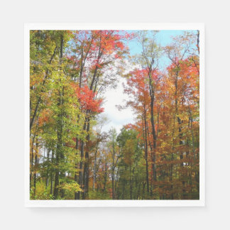 Fall Trees and Blue Sky Autumn Nature Photography Napkin