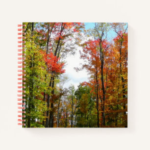 Fall Trees and Blue Sky Autumn Nature Photography Notebook