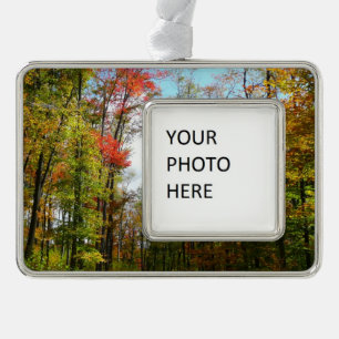 Fall Trees and Blue Sky Autumn Nature Photography Silver Plated Framed Ornament