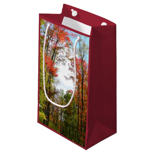 Fall Trees and Blue Sky Autumn Nature Photography Small Gift Bag (Front Angled)