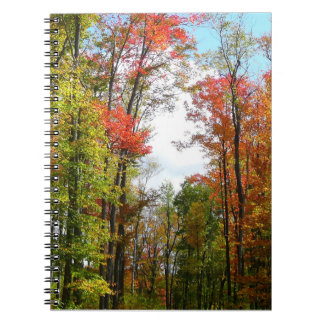Fall Trees and Blue Sky Autumn Nature Photography Spiral Notebook