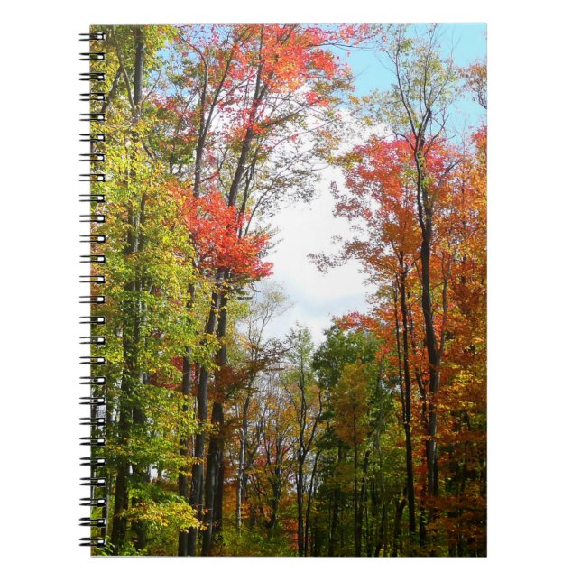 Fall Trees and Blue Sky Autumn Nature Photography Spiral Notebook (Front)