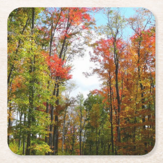 Fall Trees and Blue Sky Autumn Nature Photography Square Paper Coaster