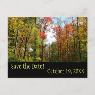 Fall Trees and Blue Sky Save the Date Postcard