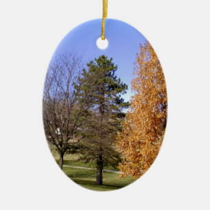 Fall Trees Ceramic Tree Decoration