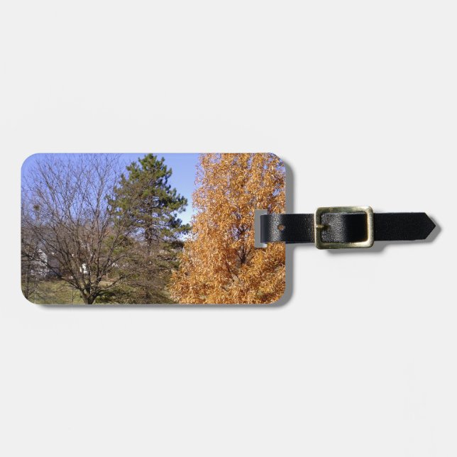 Fall Trees Luggage Tag (Front Horizontal)