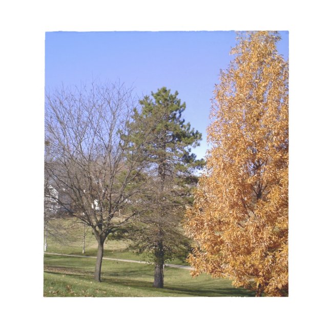 Fall Trees Notepad (Front)