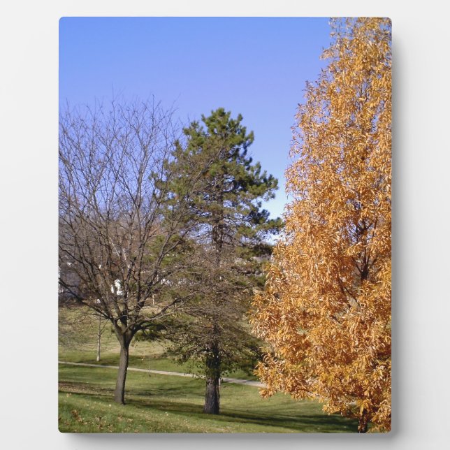 Fall Trees Plaque (Front)