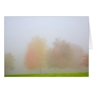 Fall trees shrouded in mist