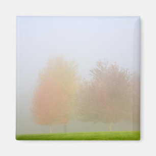 Fall trees shrouded in mist magnet