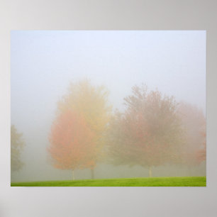 Fall trees shrouded in mist poster