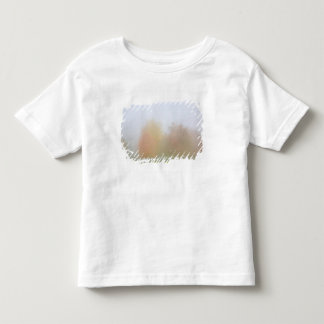 Fall trees shrouded in mist toddler T-Shirt