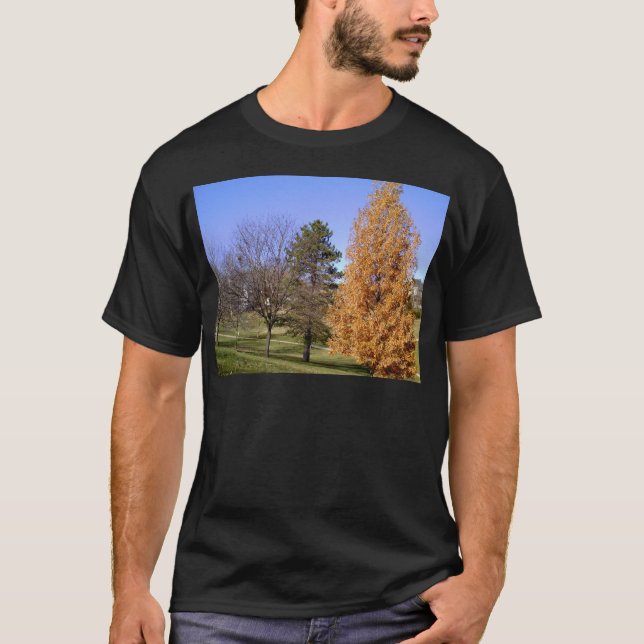 Fall Trees T-Shirt (Front)