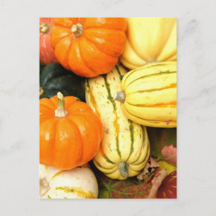 Fall Vegetables Postcard