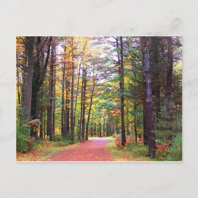fall walkway.jpg postcard (Front)