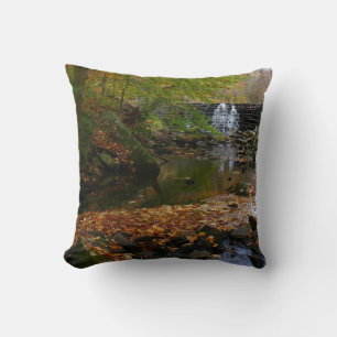 Fall Waterfall and Creek Pennsylvania Nature Cushion