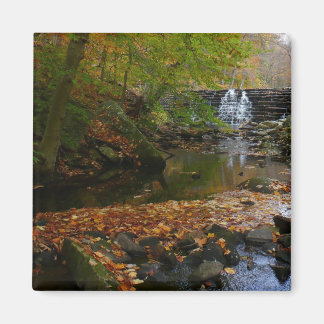 Fall Waterfall and Creek Pennsylvania Nature Magnet