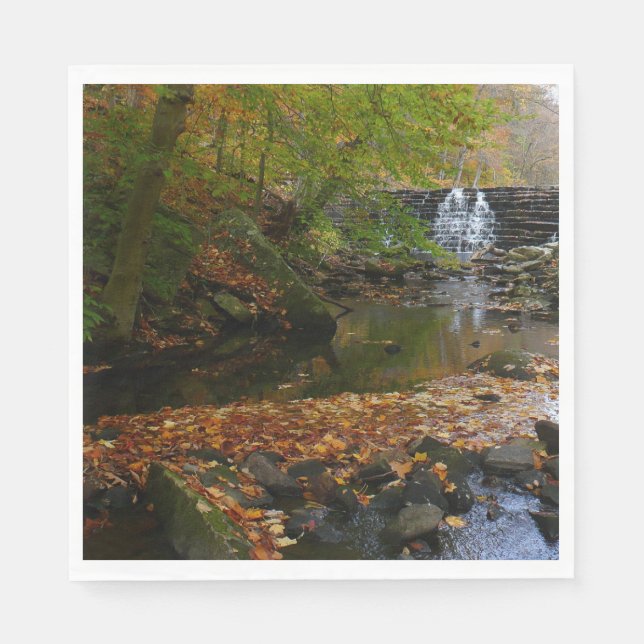 Fall Waterfall and Creek Pennsylvania Nature Napkin (Front)