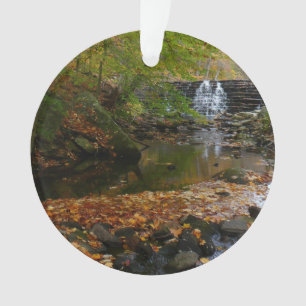 Fall Waterfall and Creek Pennsylvania Nature Ornament