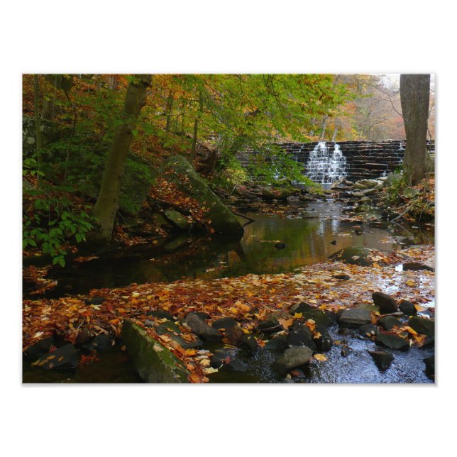 Fall Waterfall and Creek Pennsylvania Nature Photo Print (Front)