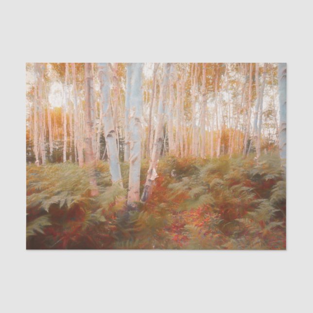 Fall Woodland Fern Forest Birch Trees Art Tissue Paper (Front)