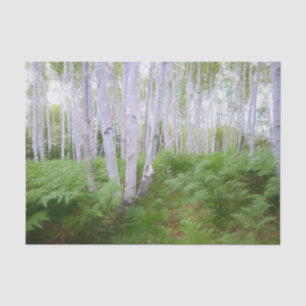 Fall Woodland Fern Green Forest Birch Trees Art Tissue Paper