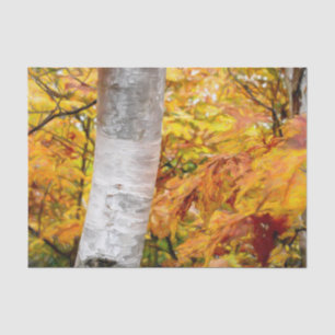 Fall Yellow Painted Forest Leaves Birch Tree Tissue Paper