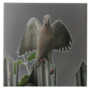 Fallen Angel Dove Tile