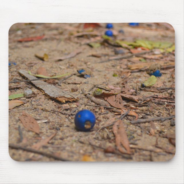 Fallen Blueberries Mouse Pad (Front)