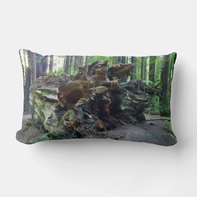 Fallen Giant Redwood Sequoia Tree Lumbar Cushion (Front)