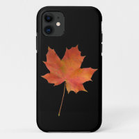 Fallen Leaf 01