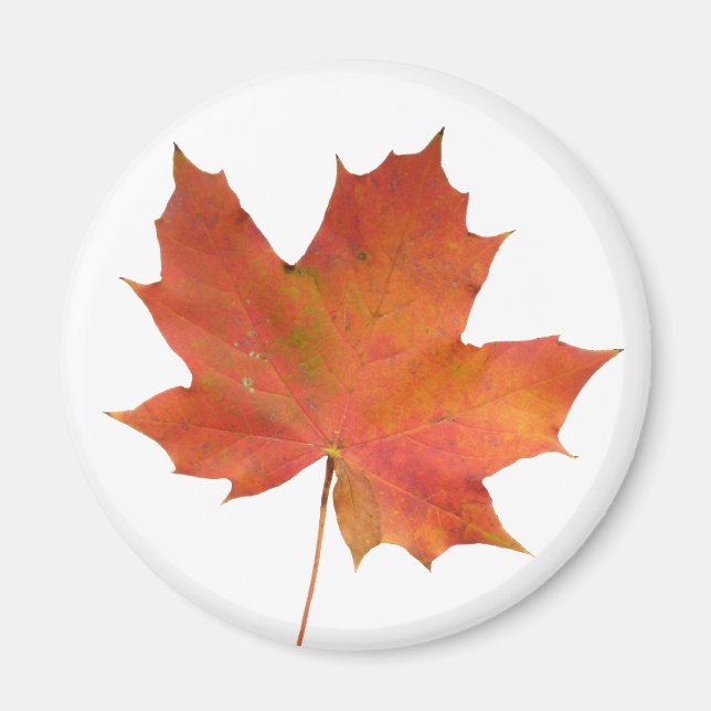 Fallen Leaf 01 Magnet (Front)
