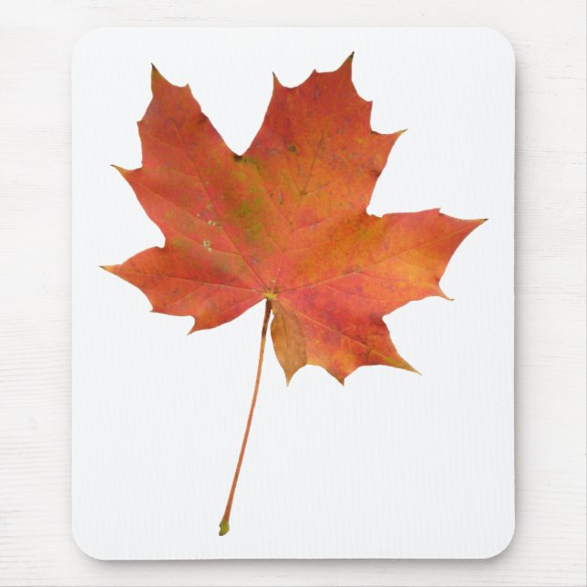 Fallen Leaf 01 Mouse Pad (Front)
